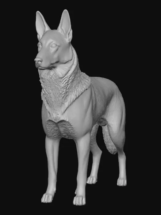 3D model for Cookie Dog (Belgan Malinois)