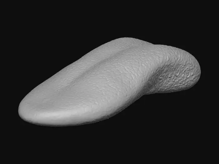 3D model for #Halloween2025#, Soft Tongue Sculpture