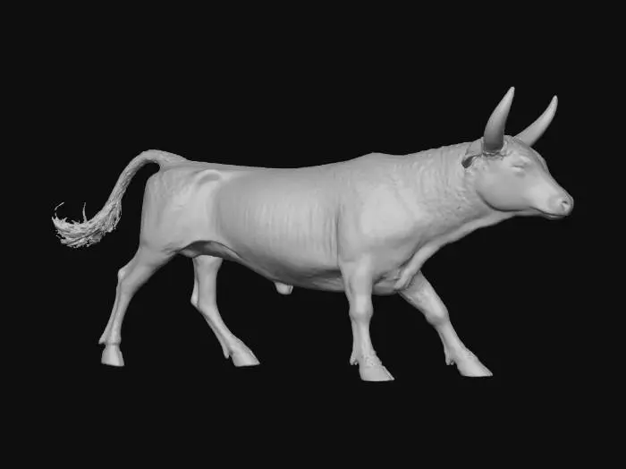 3D model for Majestic Bull