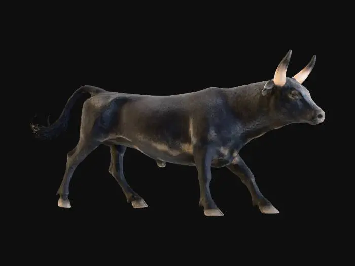 3D model for Majestic Bull