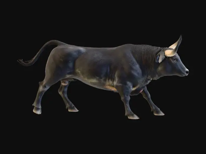 3D model for Majestic Bull3