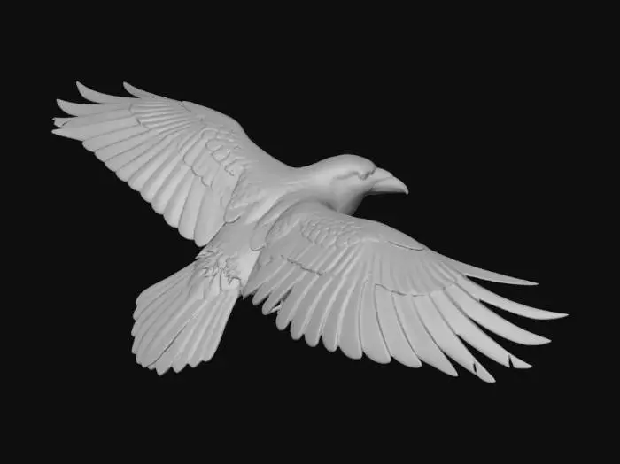 3D model for Crow