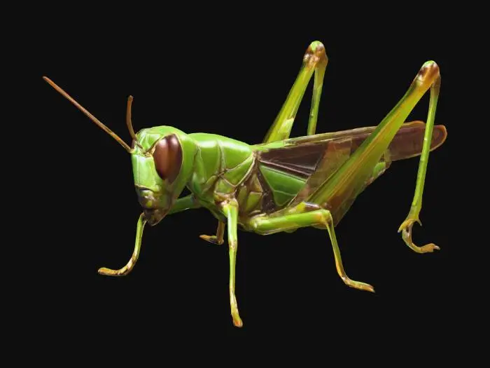 3D model for grasshopper