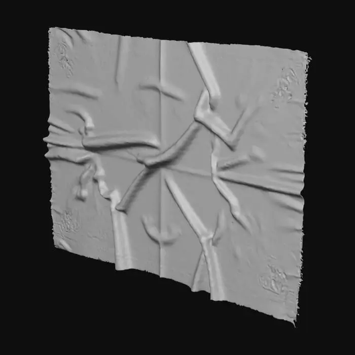 3D model for A dark, old, and dusty rectangular rug