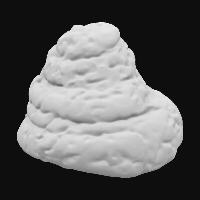 3D model for feces