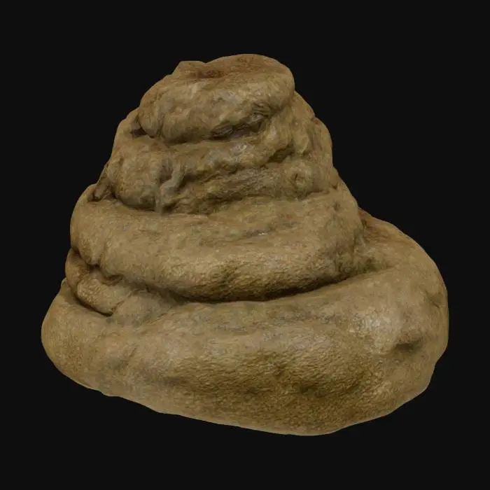 3D model for feces