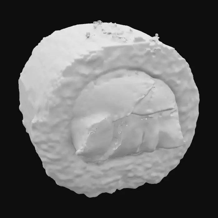 3D model for one single Uramaki sushi