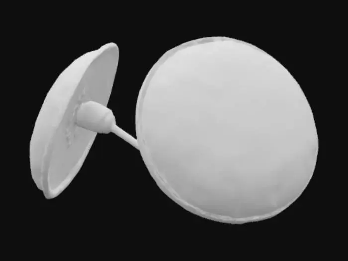 3D model for Ladybug Earrings