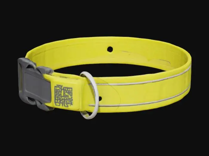 3D model for Neon Safety Collar