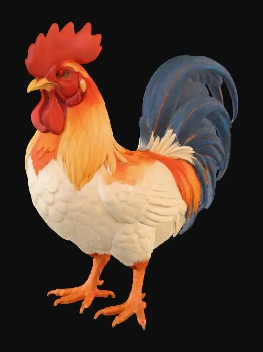 3D model for Rooster Elegance