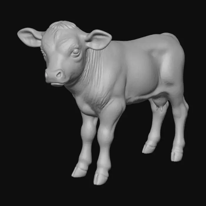 3D model for Calf in the Meadow