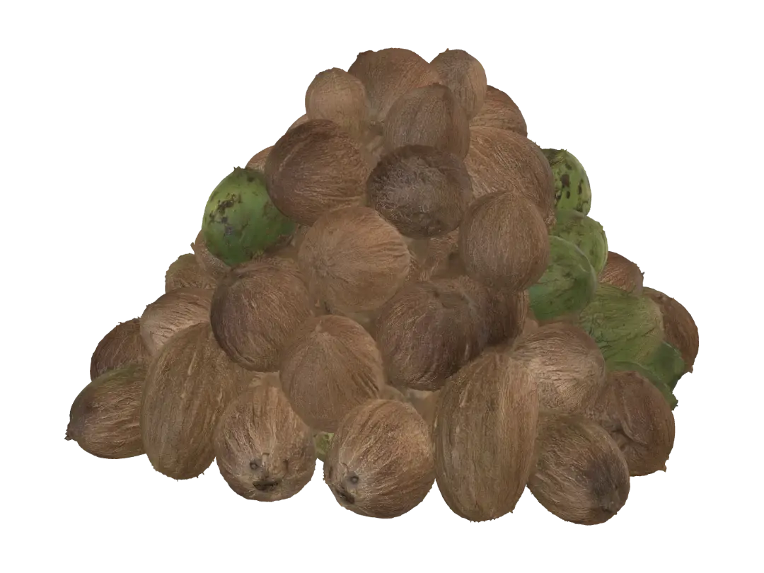 Pile of Coconuts - Coconut 3D model, vytvořený pomocí AI