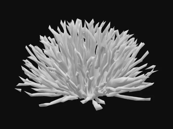 3D model for Make a 3d model for 3d printing of gelidium red algae in .stl file format