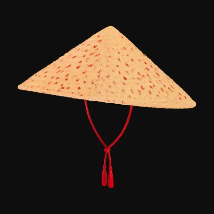 3D model for Conical Straw Hat