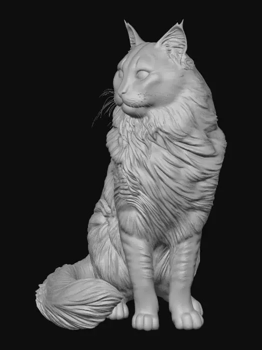 3D model for create a maine coon cat on a white background