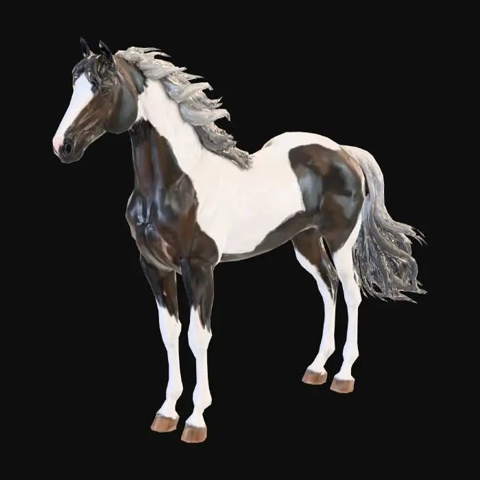 3D model for a black and white horse