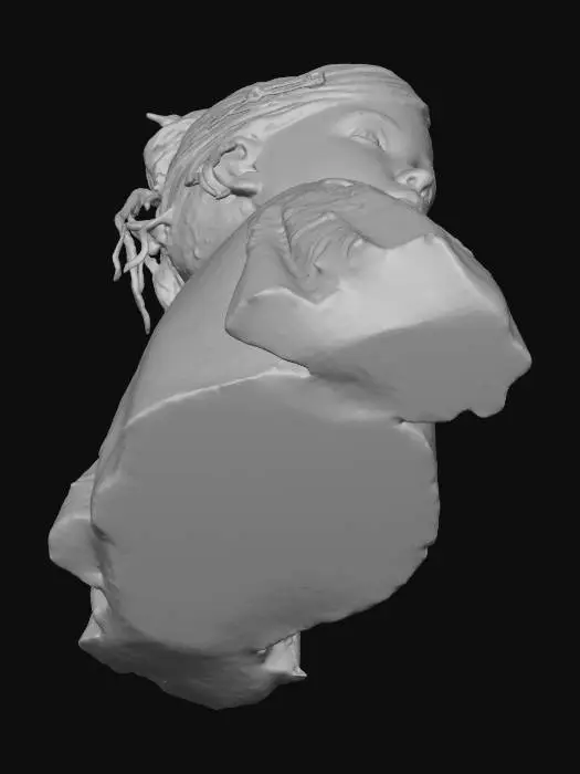 3D model for Curious Gaze