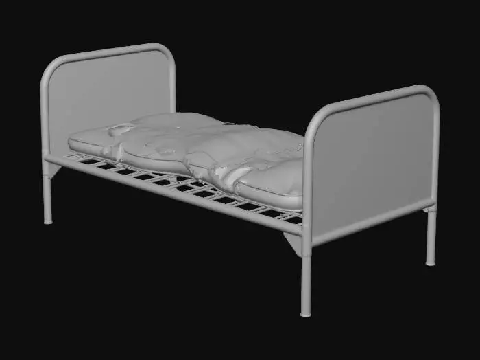 3D model for cot_1
