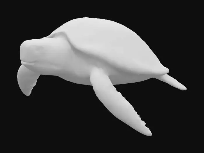 3D model for A magnificent divine sea turtle of colossal proportions radiating ethereal bioluminescence through translucent flesh, crowned with vibrant living coral formations and crystalline barnacles. Ancient mystical runes glow and pulse rhythmically along its weathered shell with arcane energy. The majestic creature channels cosmic ocean magic through iridescent rainbow-shifting scales that shimmer and flow like liquid starlight. Tentacles of pure energy spiral and undulate around its flippers as it gracefully swims through deep ocean void. Simple gradient background of deep blues fading to black, allowing the turtle's magical aura and glowing elements to be the focal point.