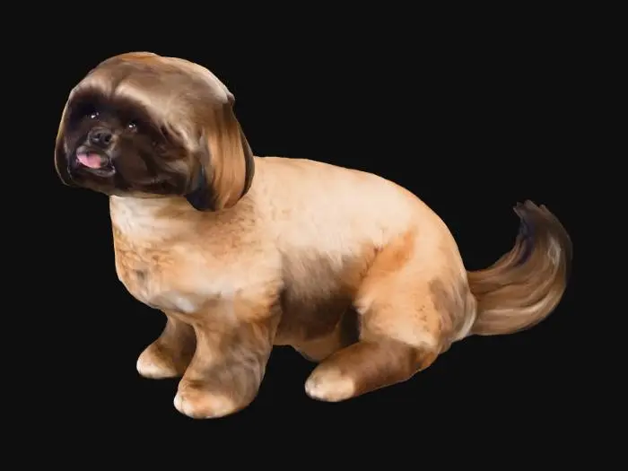 3D model for shih tzu
