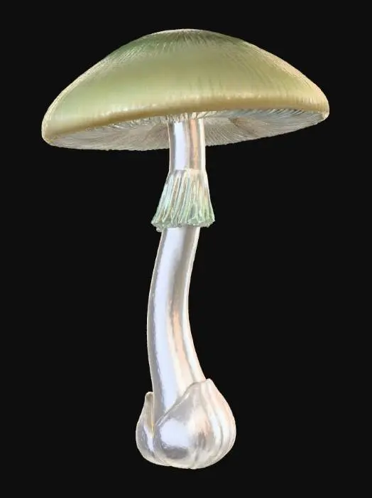 3D model for Death Cap Mushroom