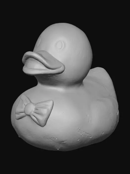 3D model for Tie Duck