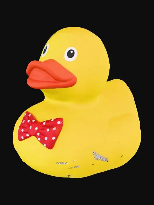 3D model for Tie Duck