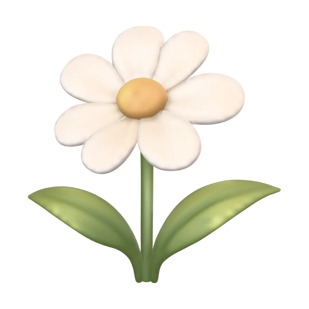 daisy
