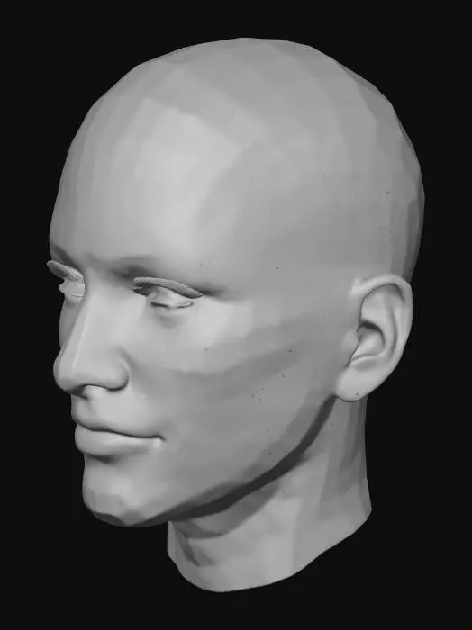 3D model for Face Recognition Mesh