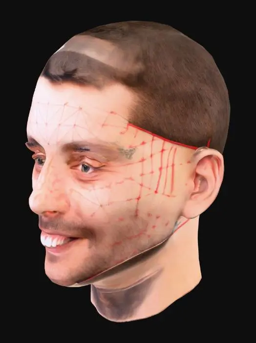 3D model for Face Recognition Mesh