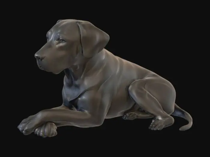 3D model for A black Labrador-great dane mix dog lays on the ground, resting her head on her paws in front of her