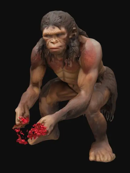 3D model for Foraging Ancestor