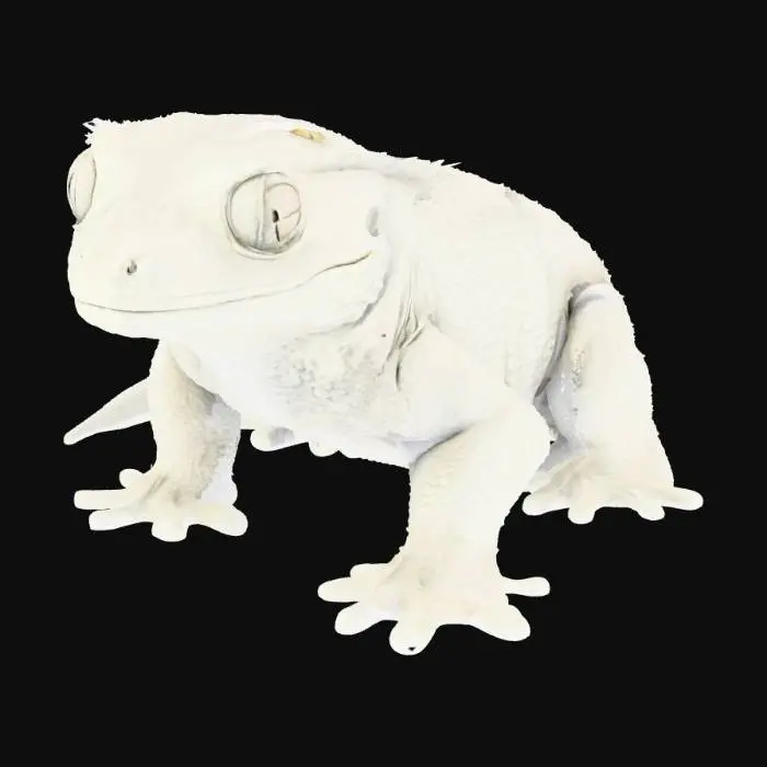 3D model for Gecko Sculpture in Gray