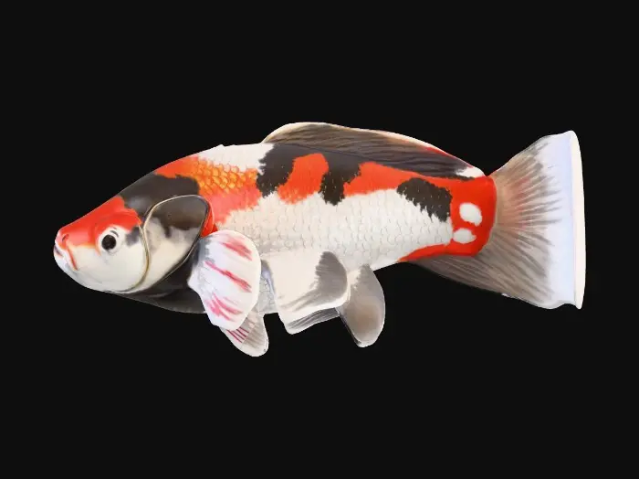 3D model for A graceful koi fish, featuring a streamlined, elongated body with flowing, delicate fins. Its surface is covered in smooth, slightly iridescent scales that display vibrant patches of orange and white, often with subtle black markings, all possessing a metallic sheen. The texture of its body scales appears fine and overlapping, while the fins are translucent and feathery. Its form is hydrodynamic, suggesting a smooth, cool, and agile creature.