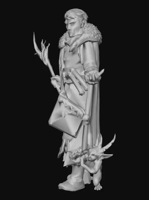 3D model for IarnoMT