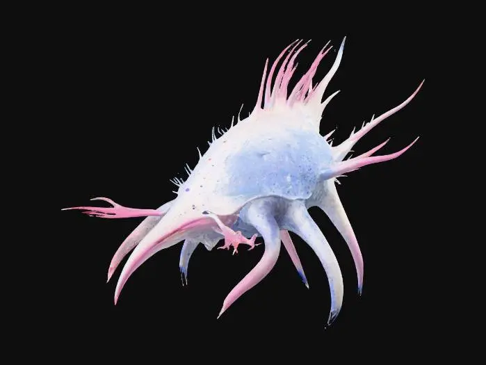 3D model for Aethelmar.jpg