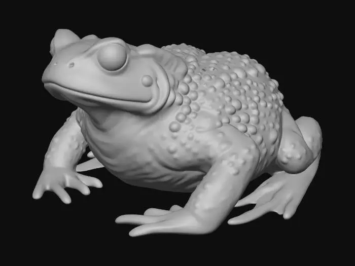 3D model for Toad on White Background