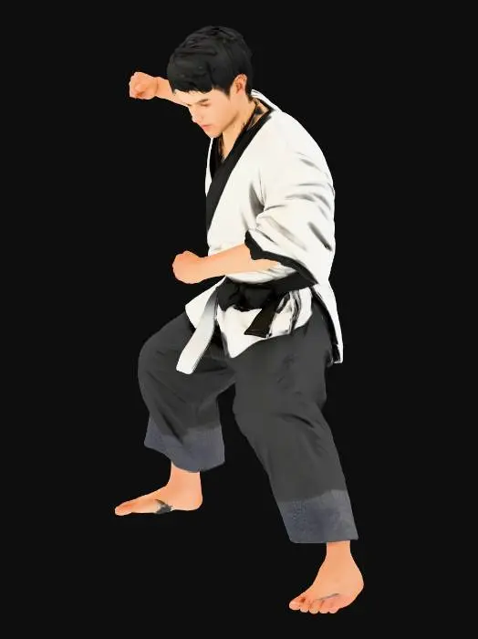 3D model for Martial Arts Practice in Temple Courtyard