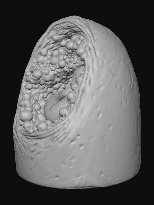 3D model for Cosmic Genesis