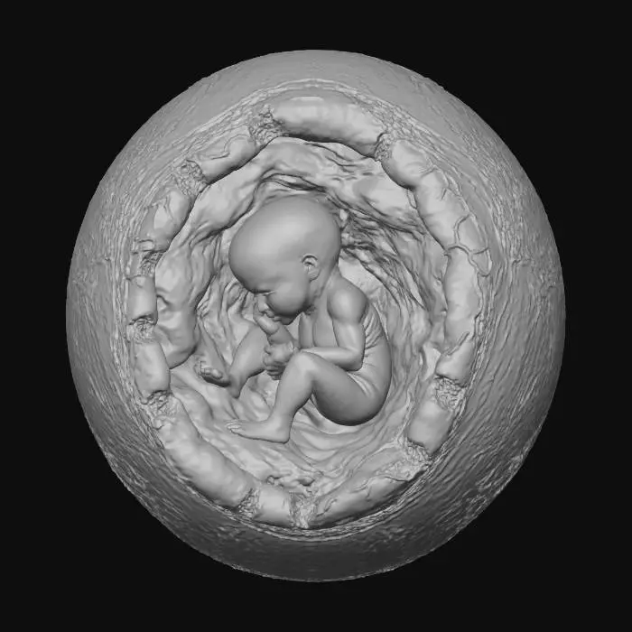 3D model for Cosmic Genesis