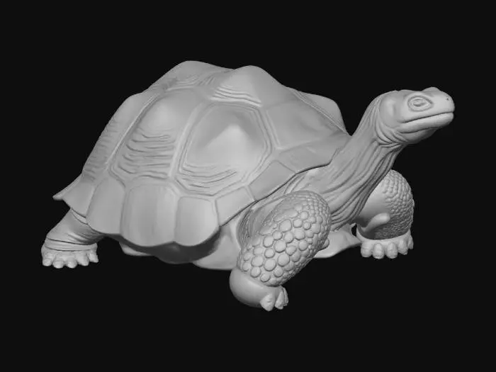 3D model for Tortuga gigante de Galápagos