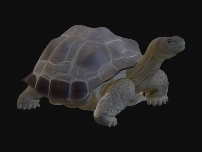 3D model for Tortuga gigante de Galápagos