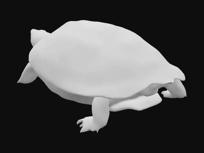 3D model for Turtle Serenity