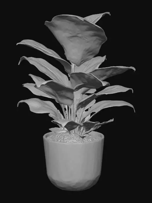 3D model for ZZ PLANT