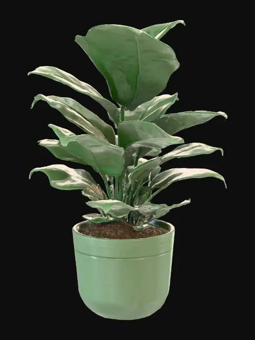 3D model for ZZ PLANT