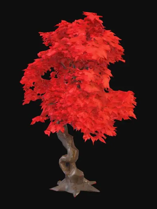 3D model for a japanese red maple tree