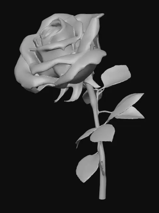 3D model for single white long stem rose