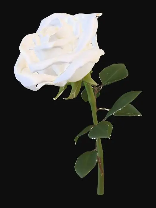3D model for single white long stem rose