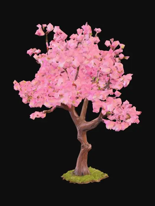 3D model for A small cherry tree in bloom
