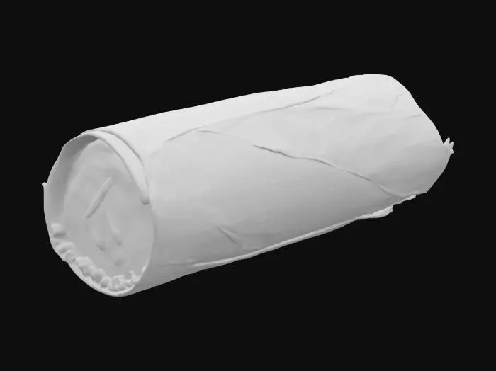 3D model for A realistic 3D model of a kebab tortilla presents a warm, lightly toasted flatbread, folded to cradle its rich contents. The tortilla's surface appears soft yet slightly firm, with subtle golden-brown char marks and a delicate, floury texture. Inside, tender slices of spiced meat, vibrant red tomatoes, crisp green lettuce, and creamy white garlic sauce are visible, creating a varied, appetizing blend of colors and textures